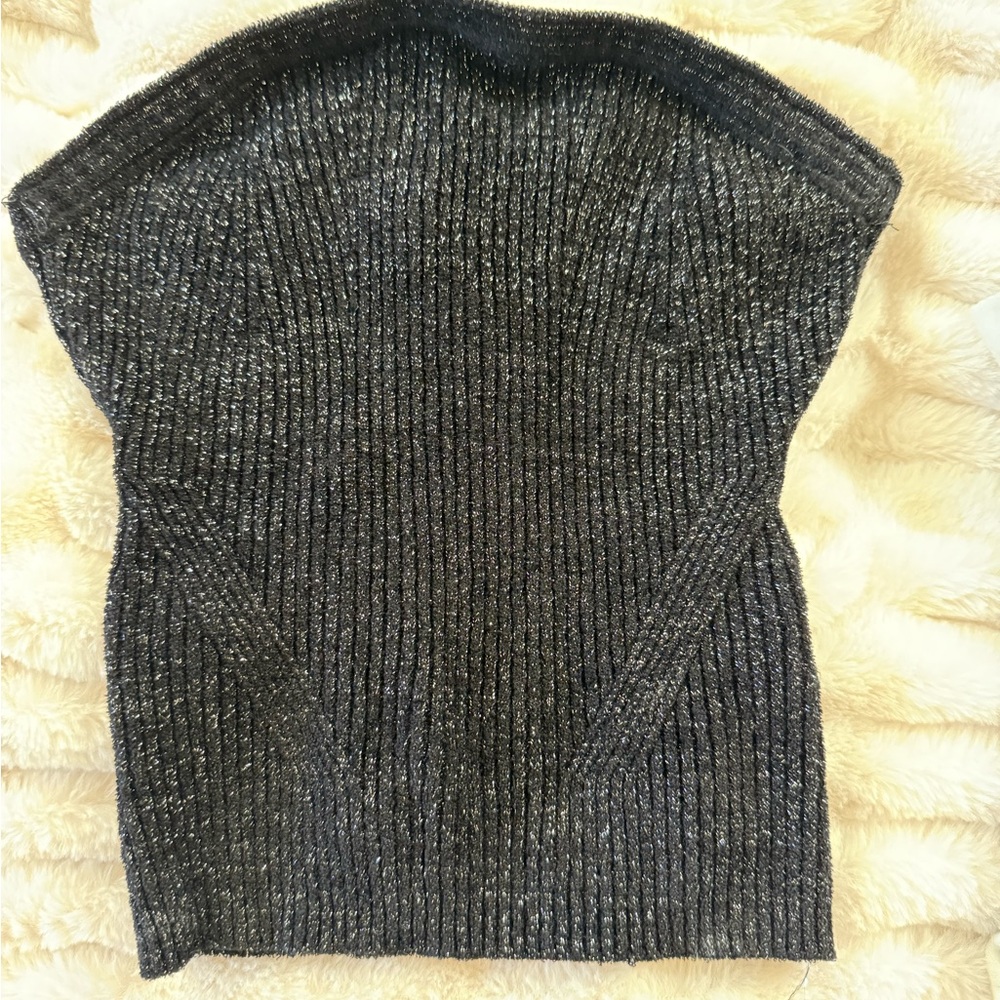 Beverly and Beck Shiny Fitted Tube Top